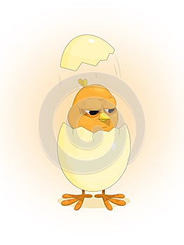 Cute funny yellow chicken hatched from an egg