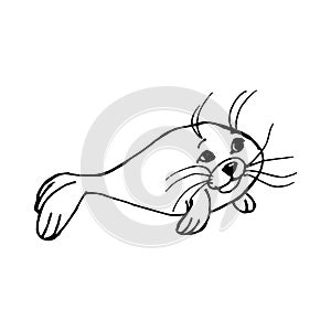 Cute fur seal illustration. Outline. Vector sketch illustration.