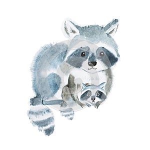 Cute fuzzy raccoon family, mother warming her little baby. Artwork created with watercolor technique.