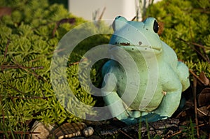 Cute Garden Frog Statue In The Sun