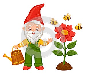 Cute garden gnome grow flower, gardener dwarf hold watering can, gardening elf. Bees collect honey nectar. Vector