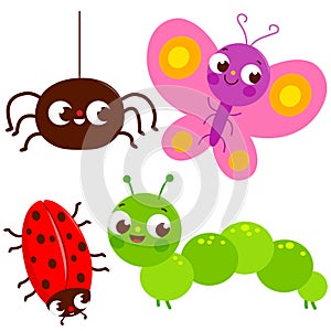 Cute garden insects collection. Cute spider, garden beetle, butterfly and green caterpillar. Vector illustration
