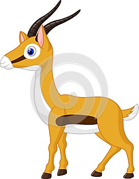 Cute gazelle cartoon photo