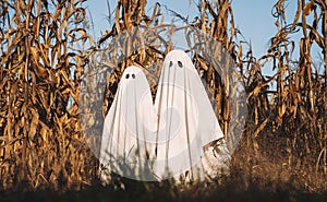 Cute ghosts in cornfield background