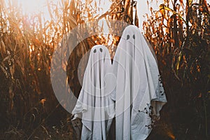 Cute ghosts in cornfield background