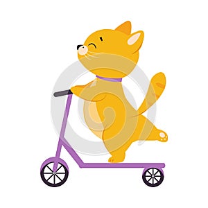 Cute Ginger Cat Character Riding Kick Scooter Vector Illustration