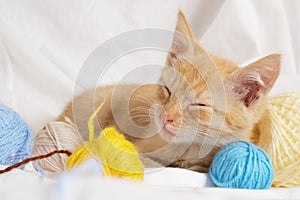 cute ginger cat and different colored balls of thread on the background of white bed linen,