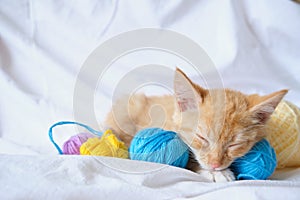 cute ginger cat and different colored balls of thread, the kitten is sleeping on the bed