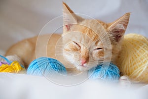 cute ginger cat and different colored balls of thread, the kitten is sleeping on the bed