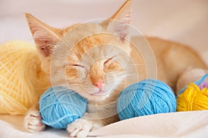 cute ginger cat and different colored balls of thread, the kitten is sleeping on the bed