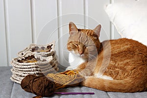 Cute ginger cat laying on the bed with a ball of yarn and crochet hook. Cat playing with with crocheted ornament.