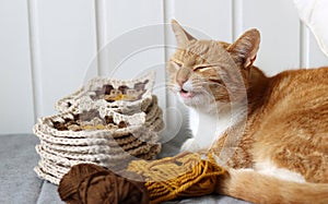 Cute ginger cat laying on the bed with a ball of yarn and crochet hook. Cat playing with with crocheted ornament.