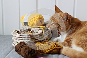 Cute ginger cat laying on the bed with a ball of yarn and crochet hook. Cat playing with with crocheted ornament.