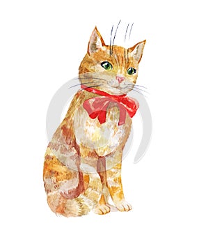 Cute ginger cat with red bow isolated on white background