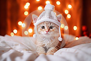 Cute ginger cat wearing Santa Claus hat on a Christmas background. Selective focus