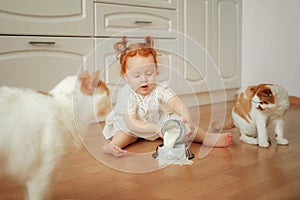 Cute ginger kitten drinking milk on the floor isolated on white background