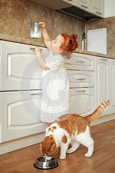 Cute ginger kitten drinking milk on the floor isolated on white background