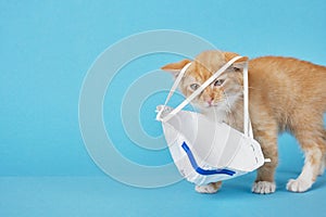 Cute ginger kitten and protective face mask on blue background