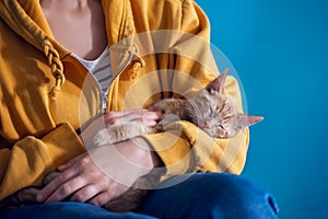 Cute ginger kitten sleeps in hands