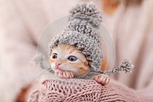 Cute ginger kitten with warm woolen hat prepared for winter