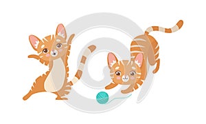 Cute Ginger Striped Kitten as Furry Domestic Pet Playing with Yarn Ball Vector Set