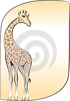 Cute giraffe photo