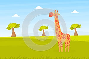 Cute Giraffe on Beautiful African Landscape, Wild Animal in the Zoo or Safari Park Vector Illustration