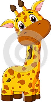 Cute giraffe cartoon isolated on white background