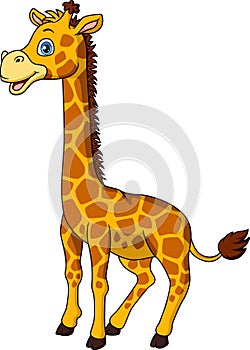 Cute giraffe cartoon isolated on white background