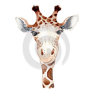 Cute giraffe cartoon watercolor illustration animal