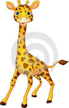Cute giraffe cartoon on white background