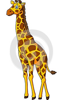 Cute giraffe cartoon on white background