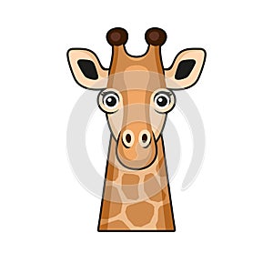 Cute Giraffe Face Cartoon Style on White Background. Vector