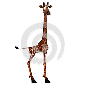 Carino giraffa ridicolo affascinante 