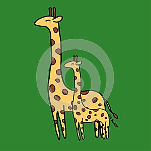 Cute giraffe on green background
