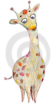 Cute giraffe illustration hand drawn with colorful pencils. Childish drawing of african animal isolated on white