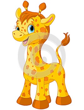 Cute giraffe