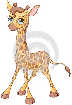 Cute Giraffe