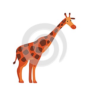 Cute Giraffe Jungle Animal, Side View, African Safari Travel Cartoon Vector Illustration on White Background