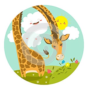 Cute giraffe smelling a flower