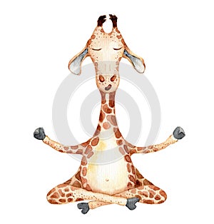 Cute giraffe in yoga position  cartoon watercolor illustration animal