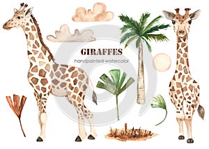 Watercolor clipart with cute giraffes, palm leaves, clouds, savanna grass, palm tree photo