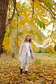 Cute girl on  autumn day against  background of yellow leaves