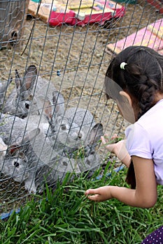 Cute girl with braids feeding bunnies on a farm