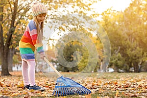 Cute girl cleaning fallen leaves with rake