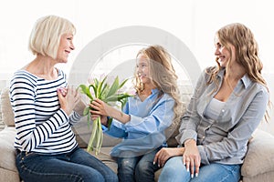 Cute girl giving flowers to her grandmother