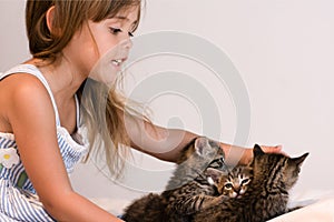 Cute girl helping 3 tabby kittens on soft off-white comforter