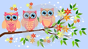 Cute girl owls. Baby showers, parties for baby girls