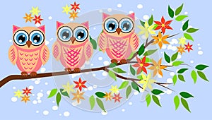 Cute girl owls. Baby showers, parties for baby girls