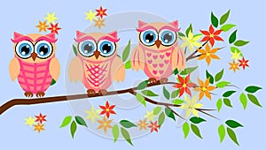 Cute girl owls. Baby showers, parties for baby girls